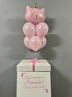 Коробка с шарами Розовый котик